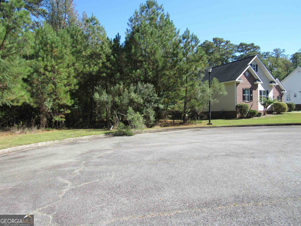 Photo of 125 N Laura Ann Court, Macon, GA 31210 (MLS # 10679603)