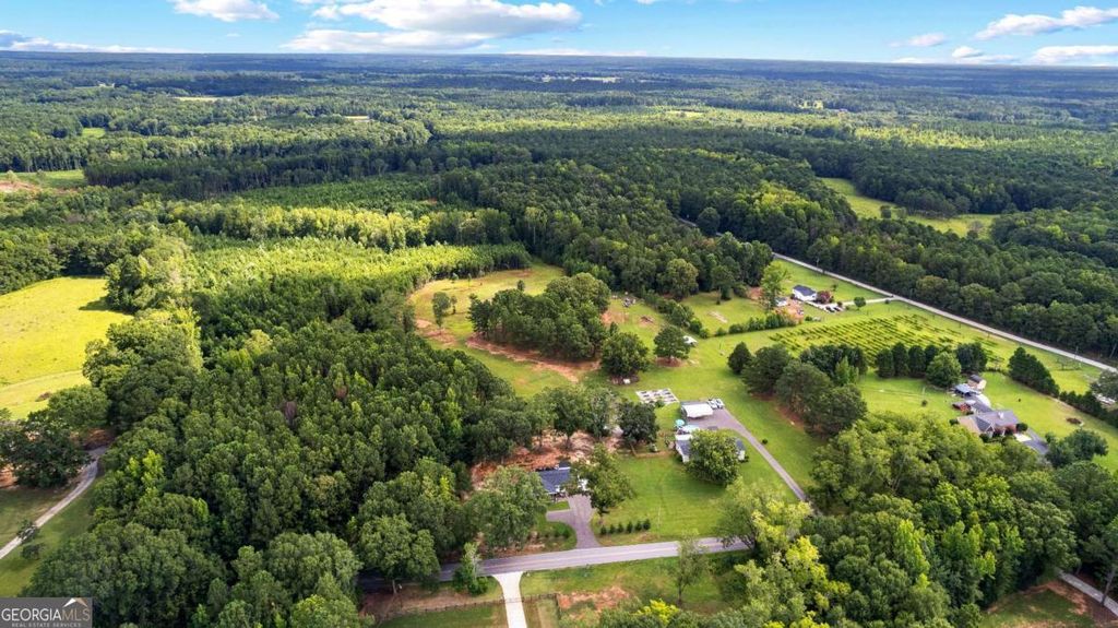 Photo of 351 East Milner Road, Zebulon, GA 30295 (MLS # 10680371)