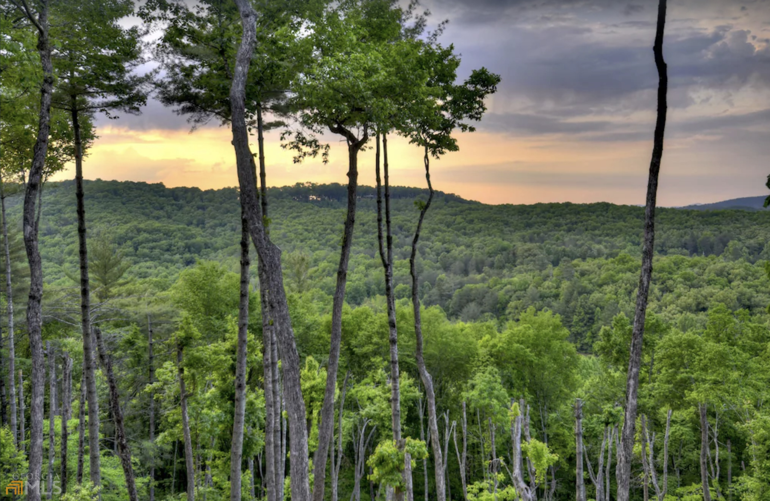 Blue Ridge Escape - Residential