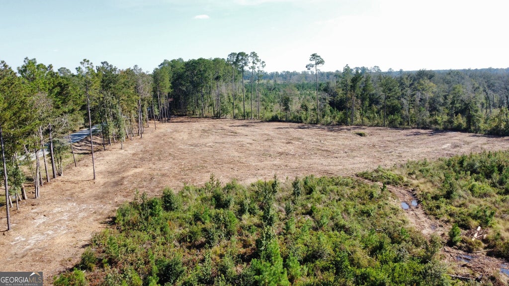 Photo of 0 Highway 46, Statesboro, GA 30458 (MLS # 10873064)