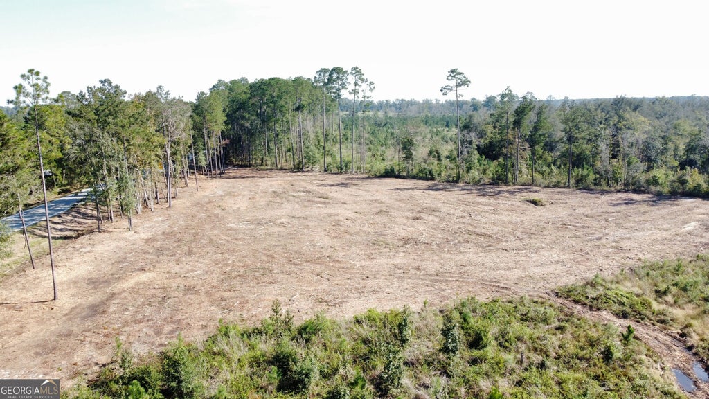 Photo of 0 Highway 46, Statesboro, GA 30458 (MLS # 10873064)