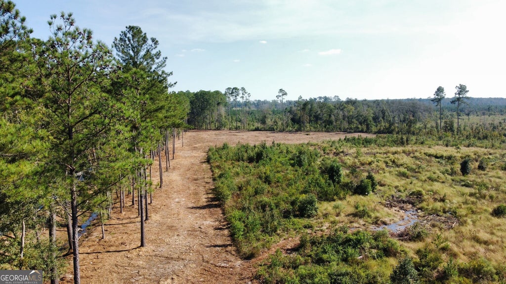 Photo of 0 Highway 46, Statesboro, GA 30458 (MLS # 10873064)