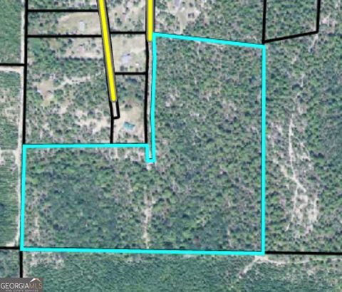 32 10F Pine Knot Rd Box Springs GA 31801