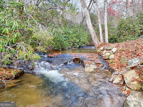 7829 Dillard RD Scaly Mtn NC 28775