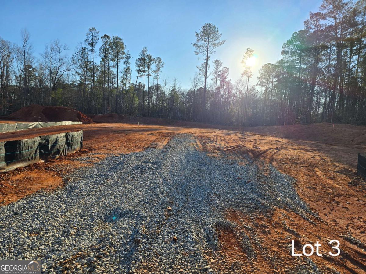 LOT 3 County Line RD