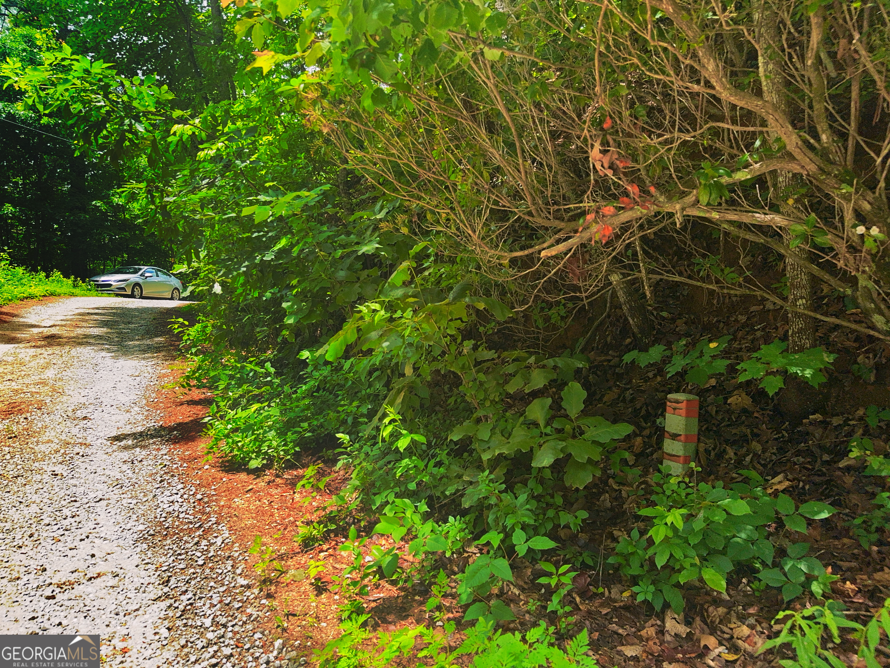 0 Laurel LN