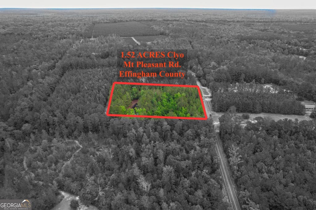 Photo of 15 Mt Pleasant Road, Clyo, GA 31303 (MLS # 10794788)