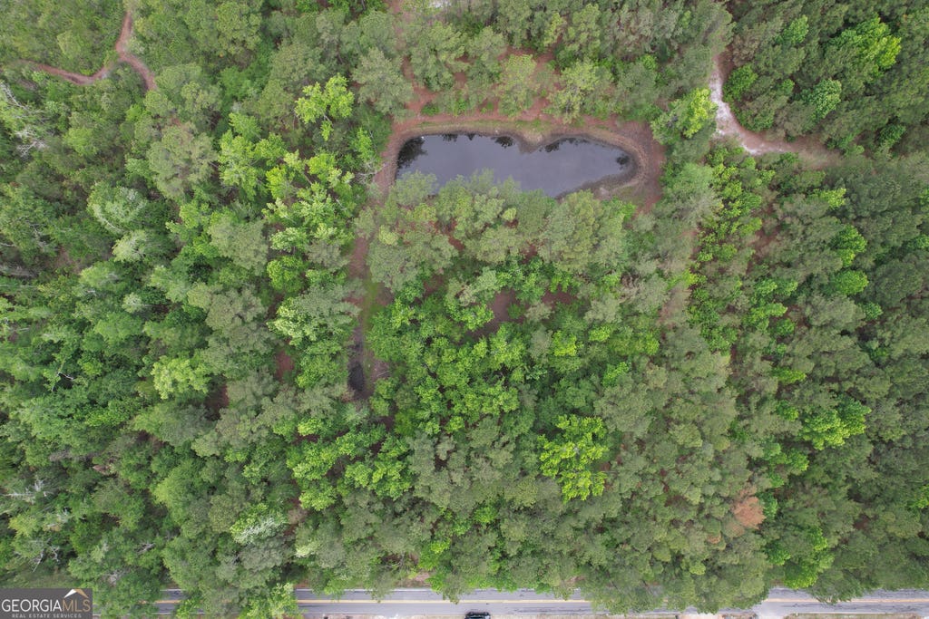 Photo of 15 Mt Pleasant Road, Clyo, GA 31303 (MLS # 10794788)