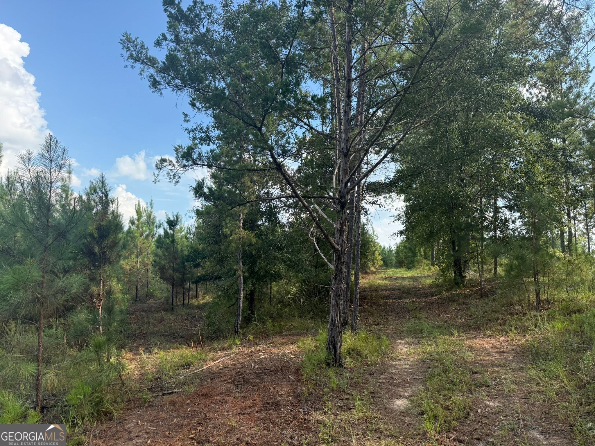 002 George Milling RD