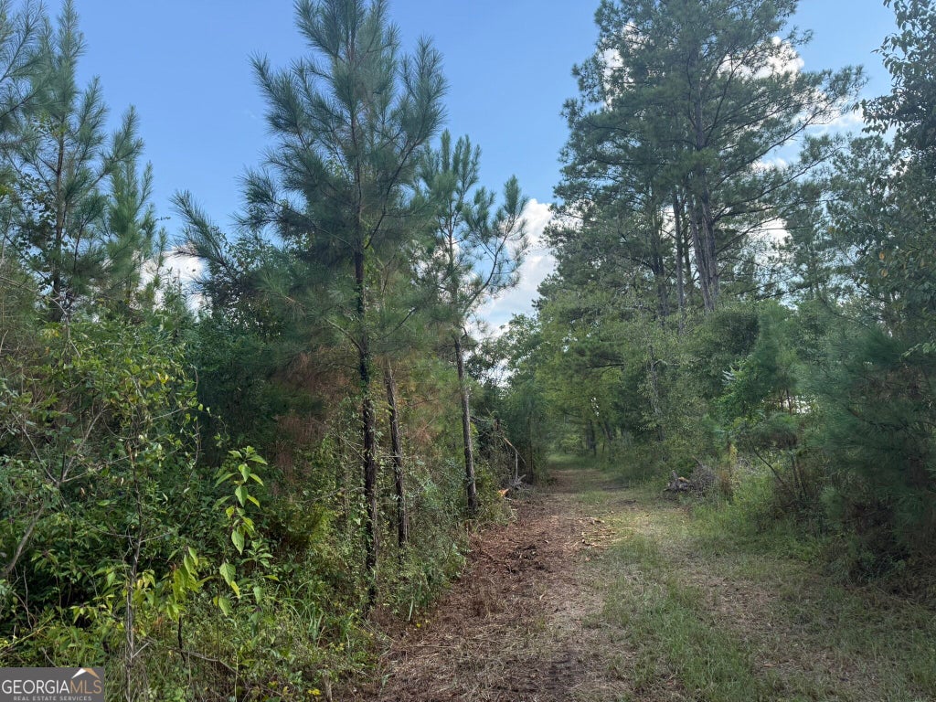 Photo of 2 George Milling Road, Cuthbert, GA 39840 (MLS # 10841316)