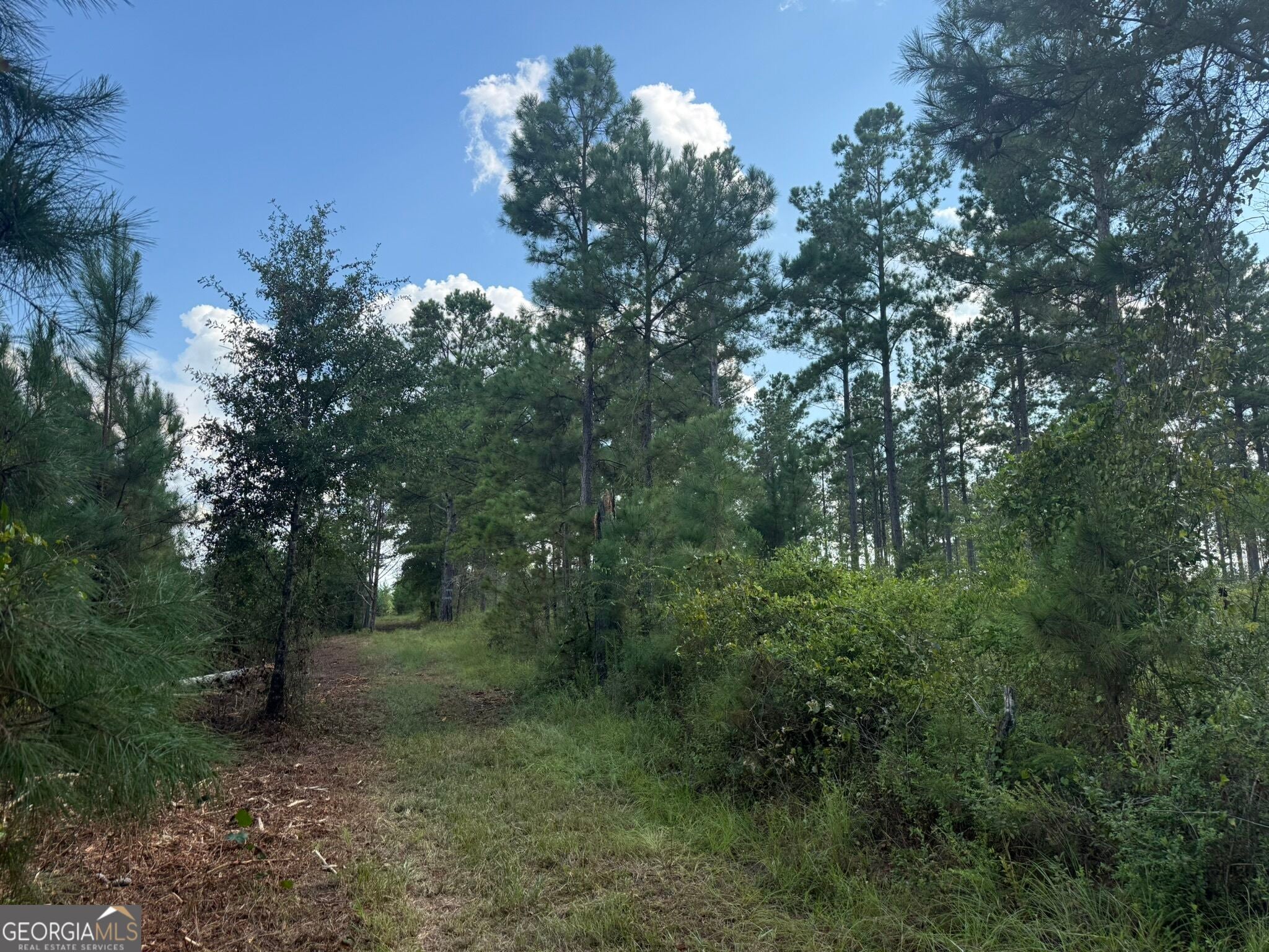 002 George Milling RD