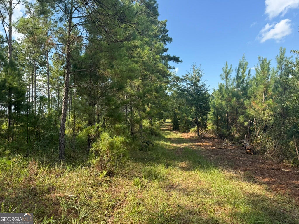 Photo of 2 George Milling Road, Cuthbert, GA 39840 (MLS # 10841316)