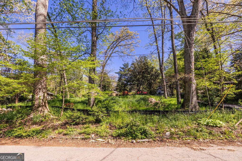 Photo of 4604 Park Drive, Pine Lake, GA 30072 (MLS # 10728827)