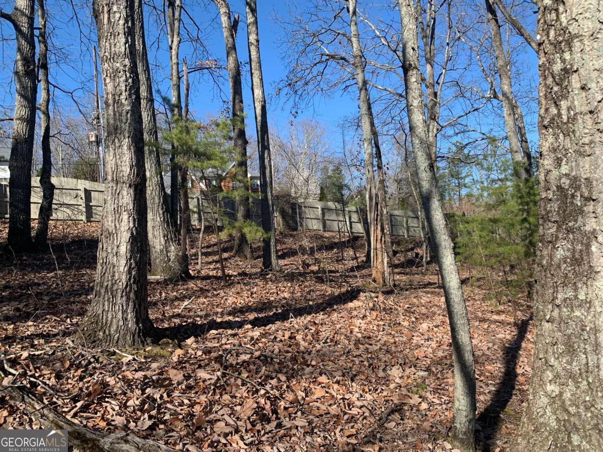 Stoneoak Pointe - Land