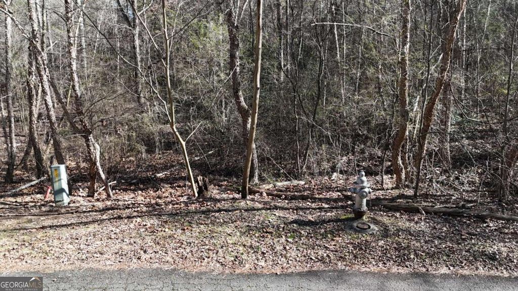 Photo of 0 W River Trace #LOT  48, Ellijay, GA 30536 (MLS # 10691061)