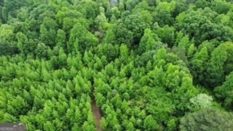 Photo of 0 Wildlife Lake Road, Summerville, GA 30747 (MLS # 10762517)