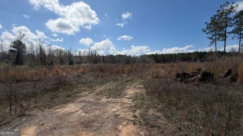 3557 Antioch Church rd Eastman GA 31023