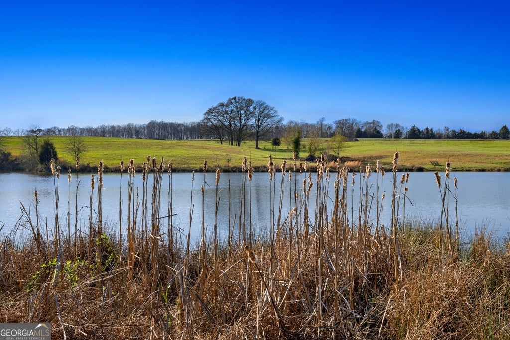 Photo of 10 Ridgeview Point, Hartwell, GA 30643 (MLS # 10841019)