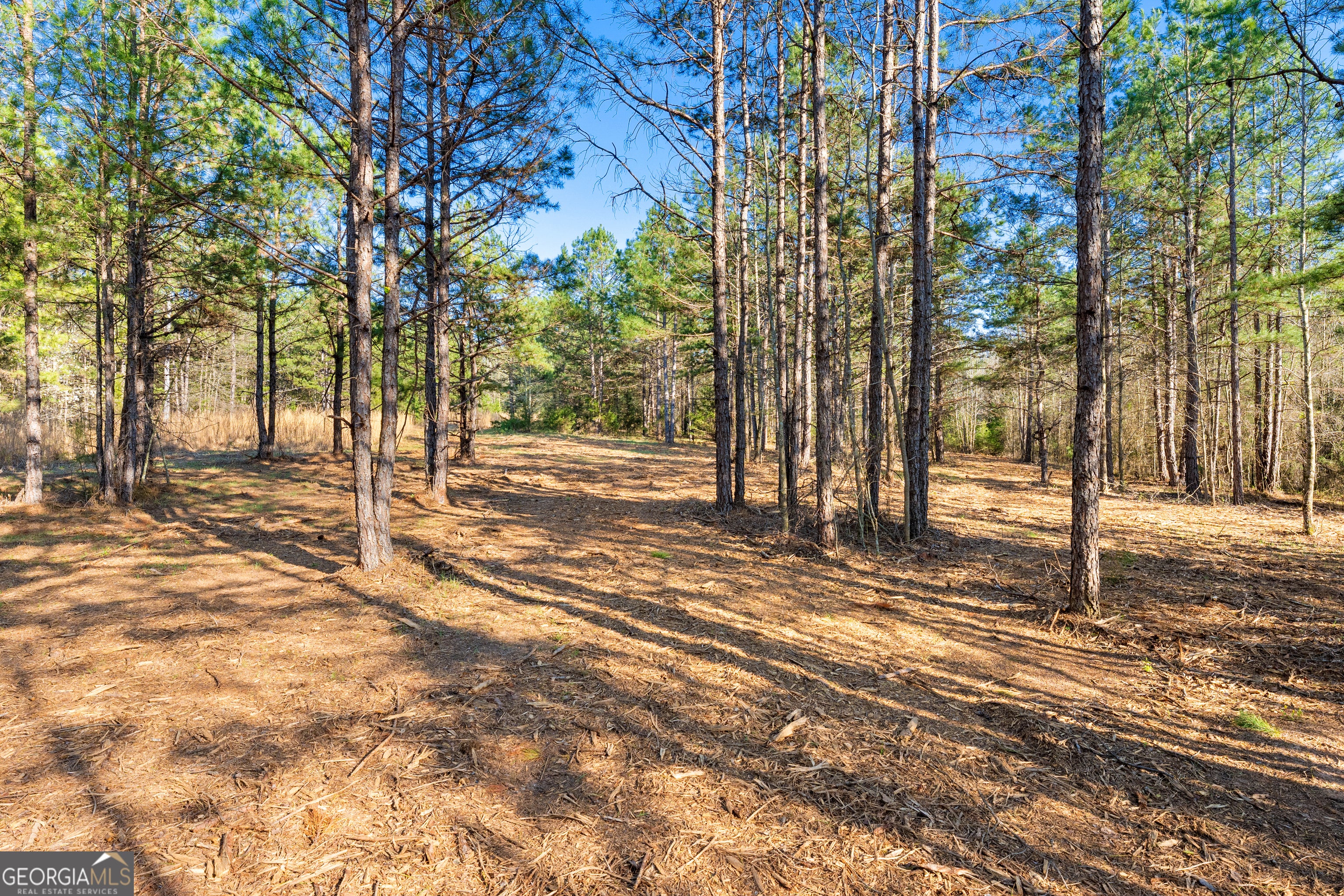 10 Ridgeview Point