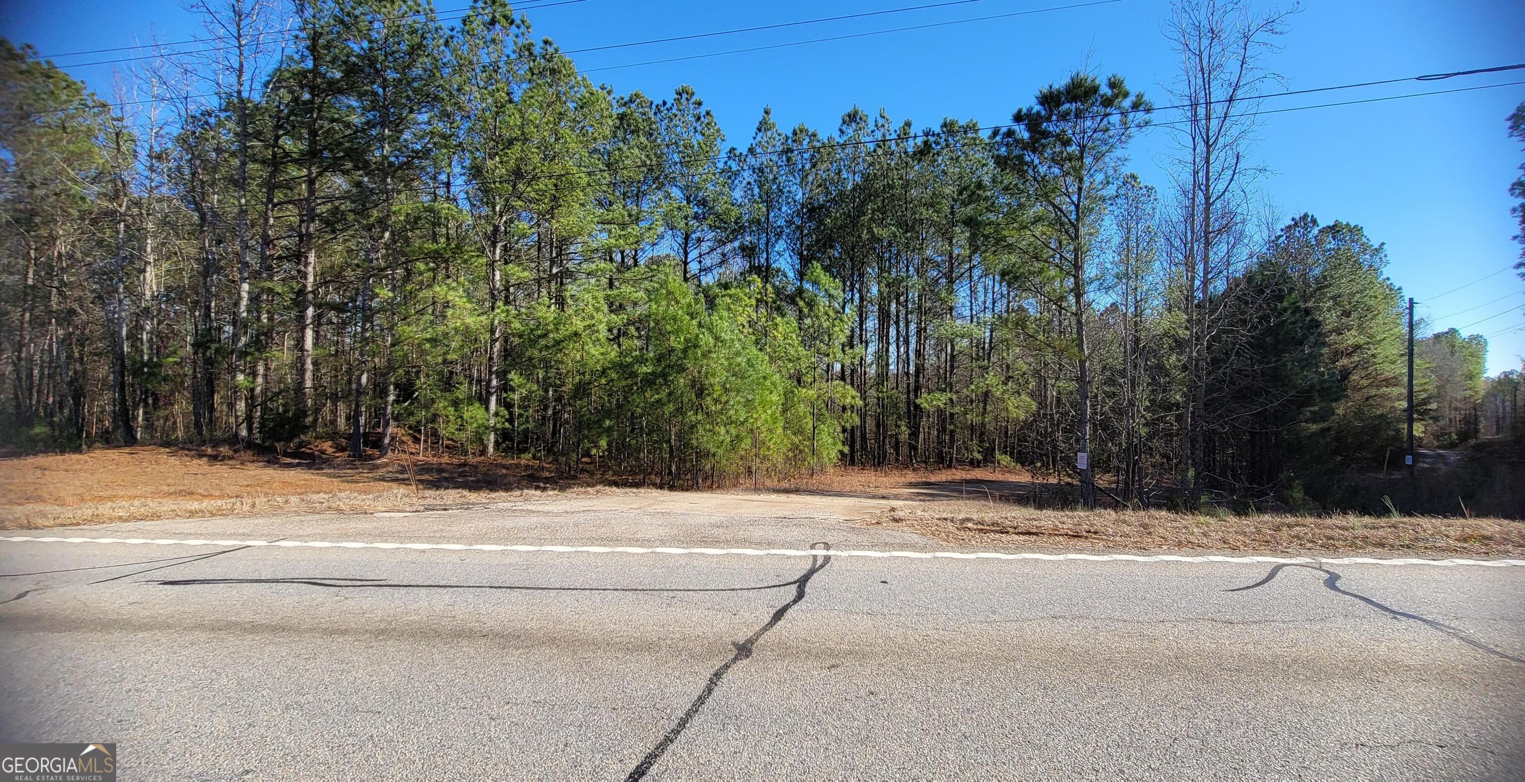 19145 Ga Highway 100