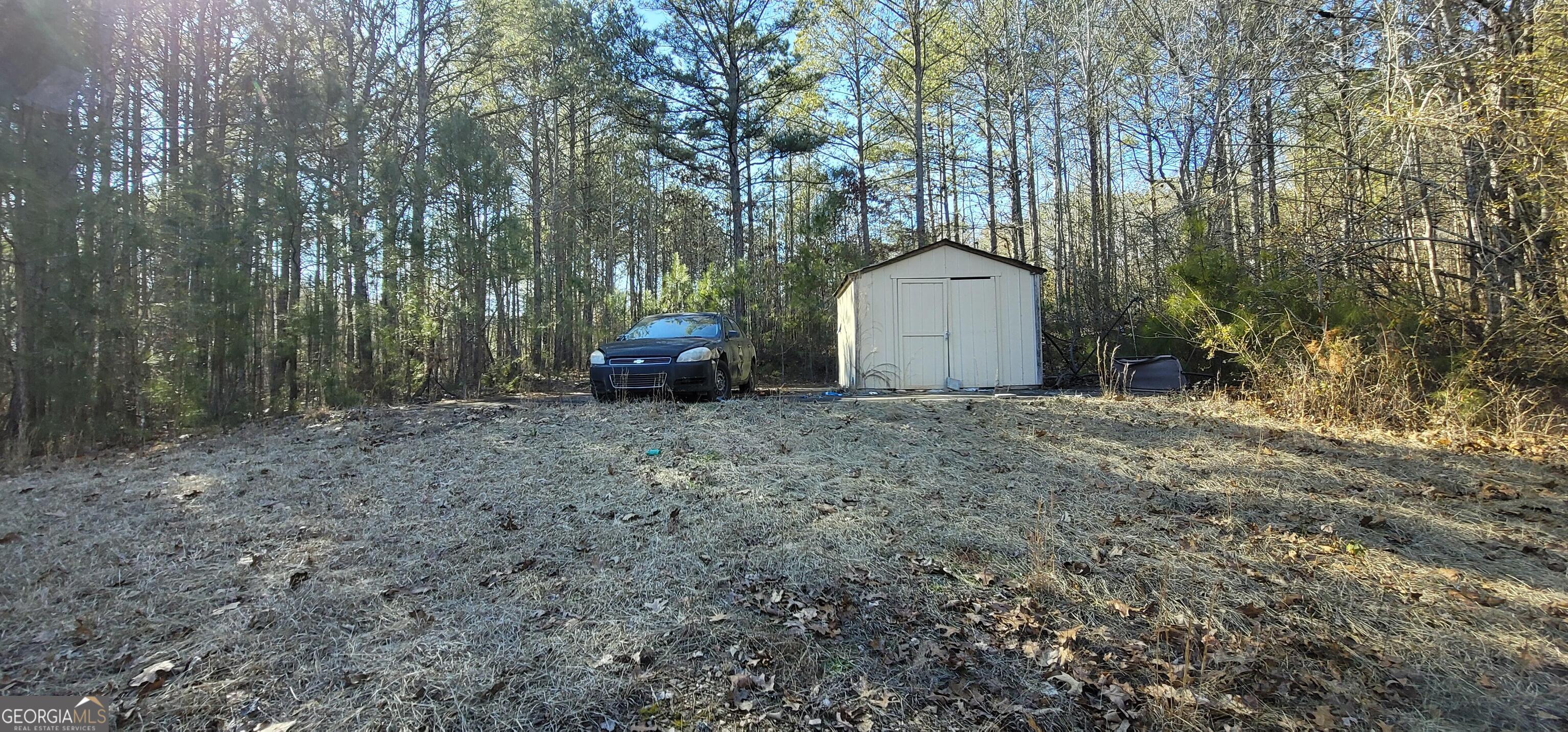 19145 Ga Highway 100