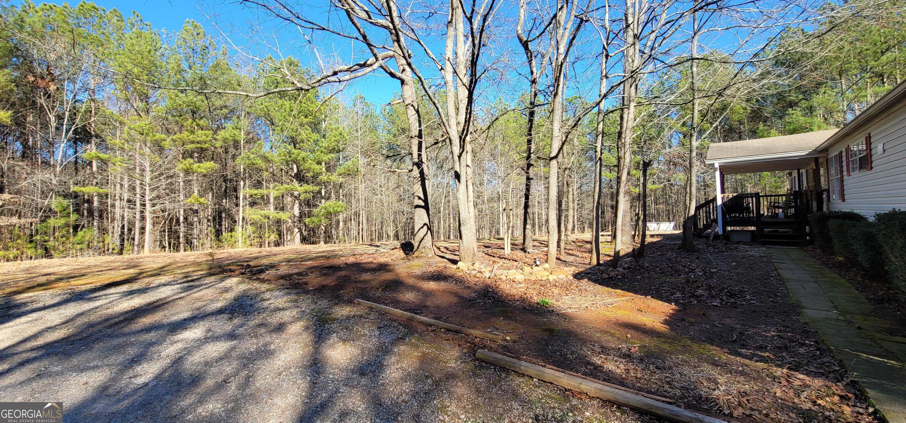 19145 Ga Highway 100