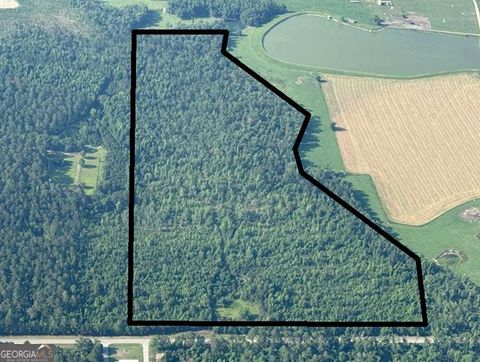 Photo of 46 Hwy 46 East of Metter, Metter, GA 30439 (MLS # 10786285)