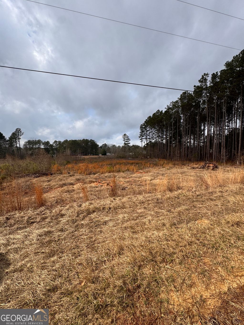 Photo of 0 HUNTERS Run, Dublin, GA 31021 (MLS # 10669558)