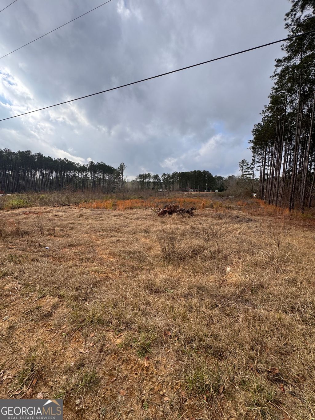 Photo of 0 HUNTERS Run, Dublin, GA 31021 (MLS # 10669558)