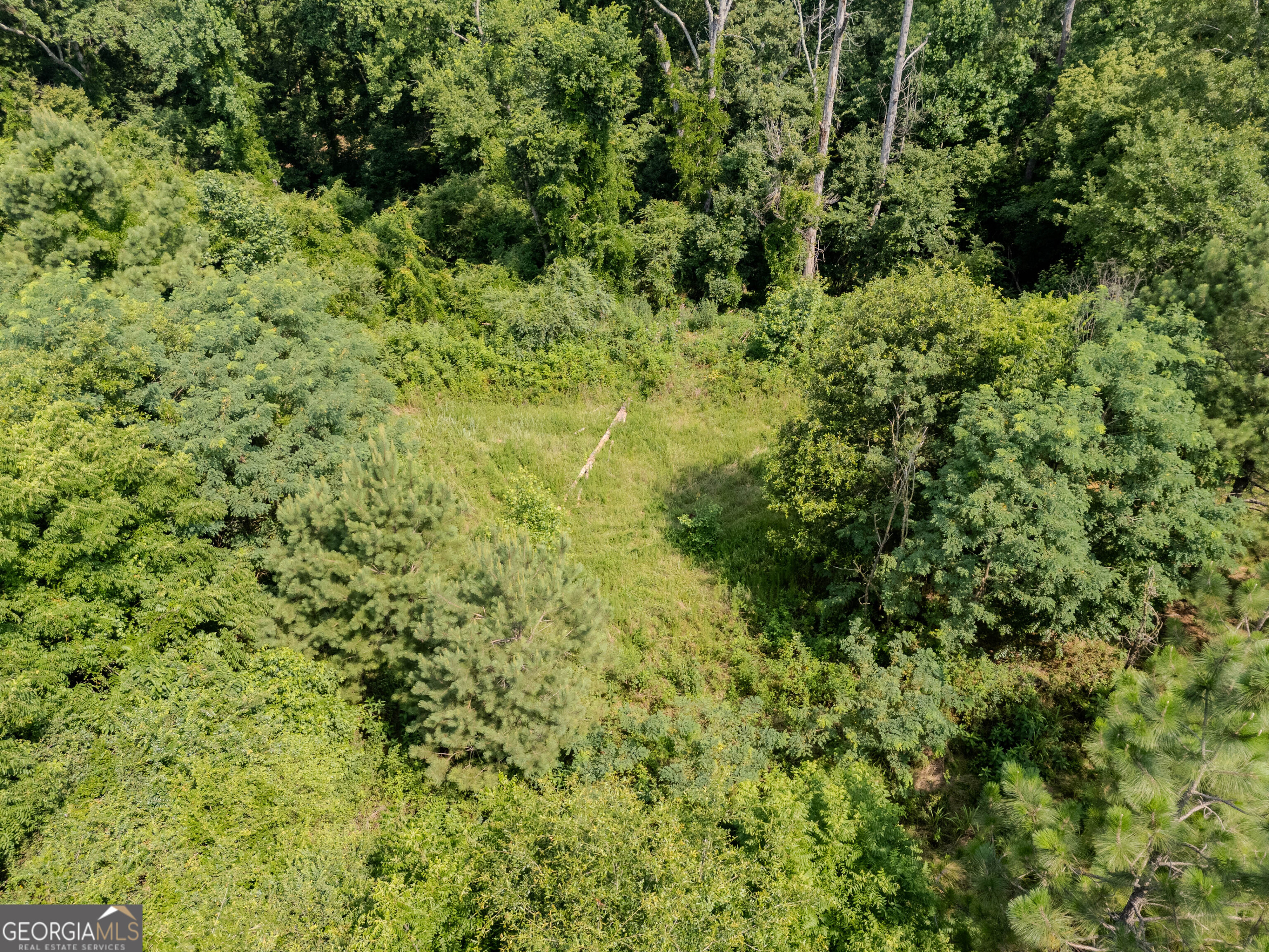 0 Spout Springs RD