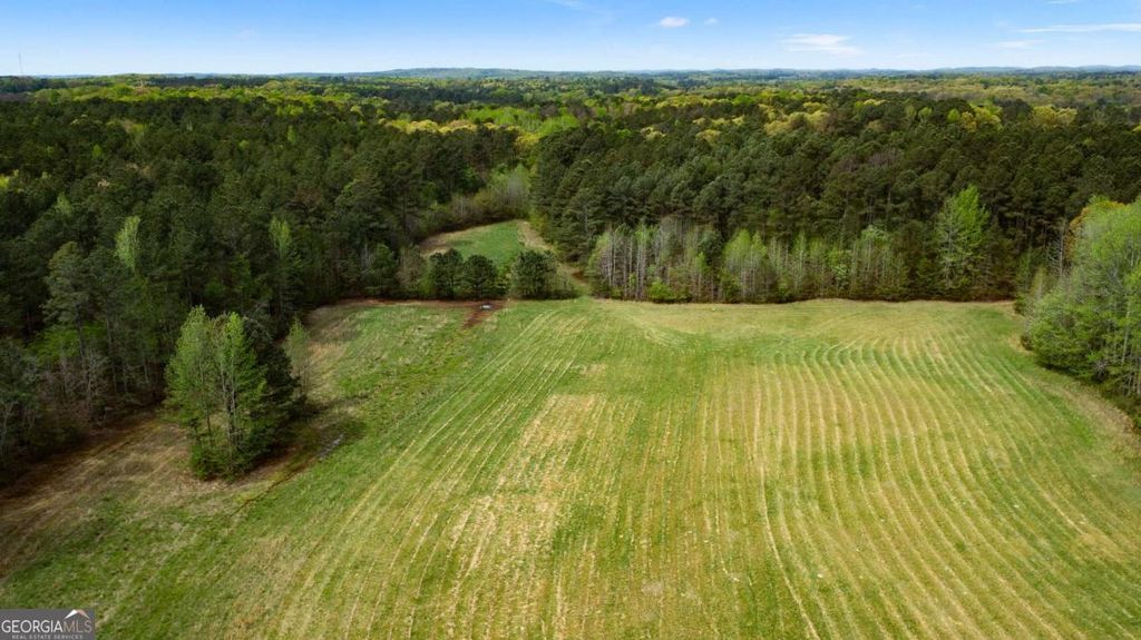 Photo of 600 Taylorsville Road, Aragon, GA 30104 (MLS # 10730689)