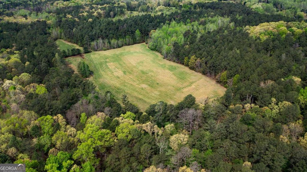 Photo of 600 Taylorsville Road, Aragon, GA 30104 (MLS # 10730689)