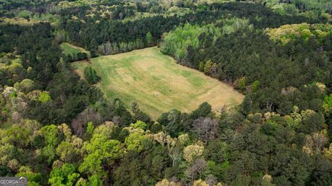 Photo of 600 Taylorsville Road, Aragon, GA 30104 (MLS # 10730689)