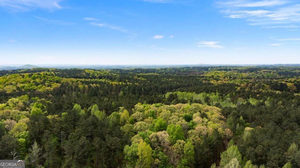 Photo of 600 Taylorsville Road, Aragon, GA 30104 (MLS # 10730689)