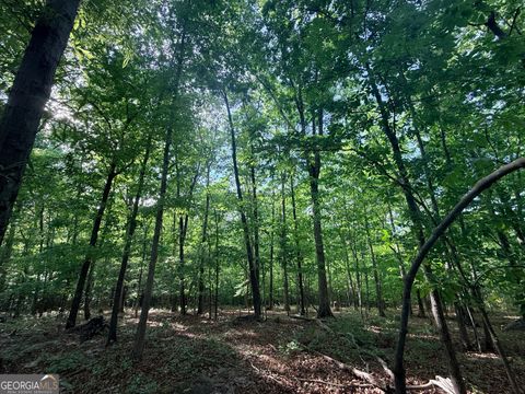 Photo of 15 Turning Point Way, Elberton, GA 30635 (MLS # 10619696)