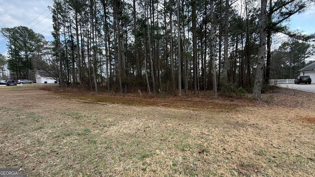 Photo of 9127 E Carroll Road, Winston, GA 30187 (MLS # 10695049)