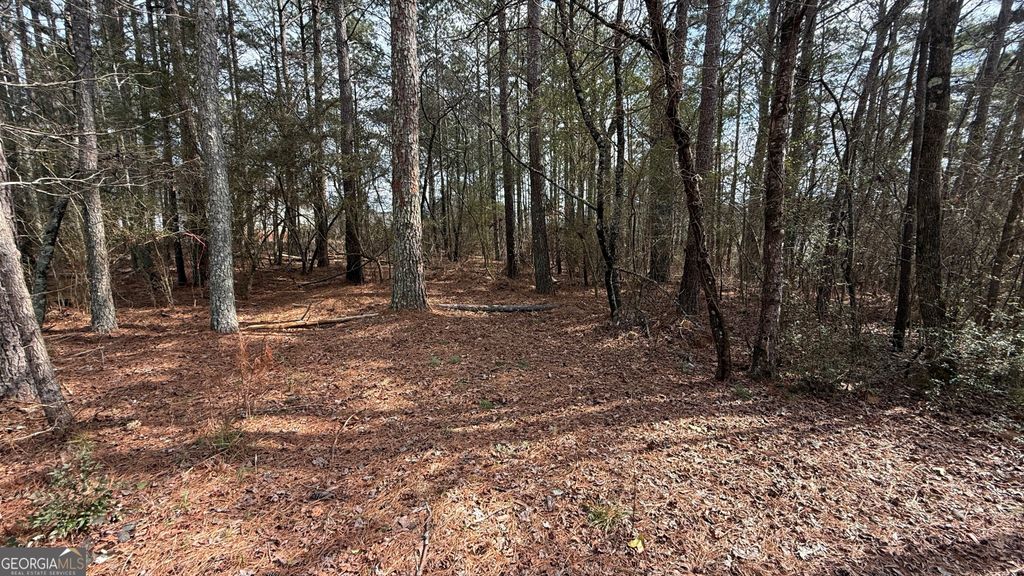 Photo of 9127 E Carroll Road, Winston, GA 30187 (MLS # 10695049)