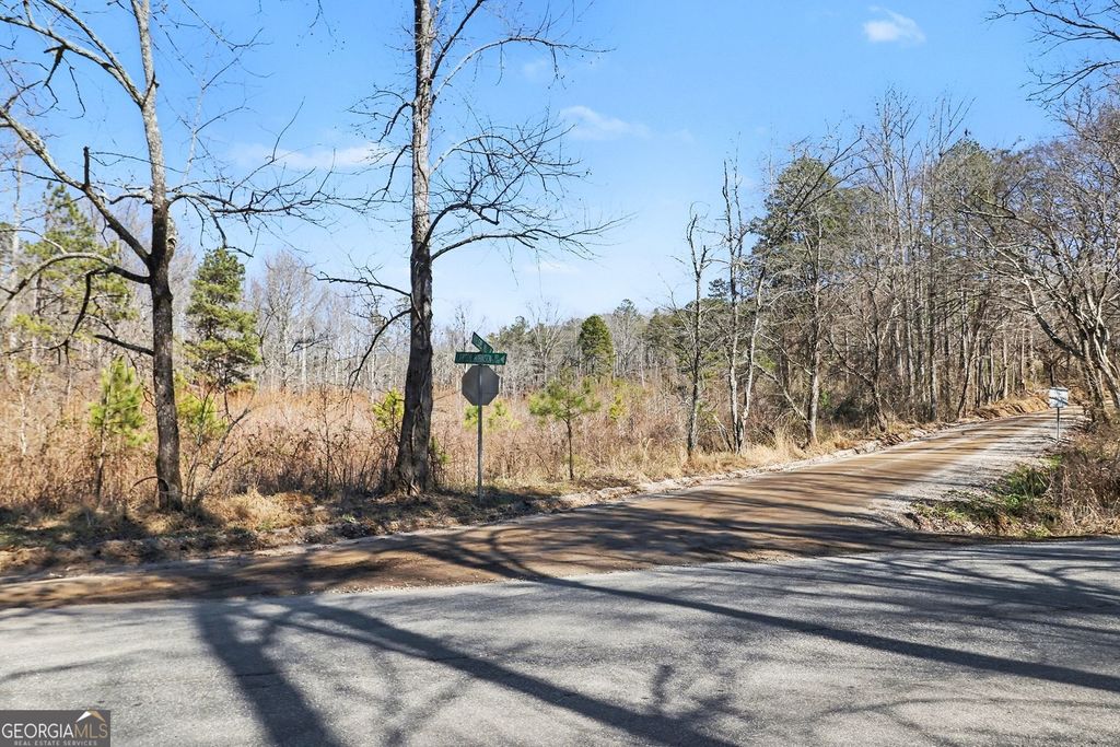 Photo of 5044 Whelchel Mill Road, Gainesville, GA 30506 (MLS # 10688146)