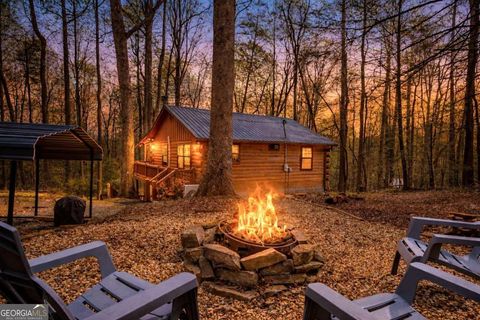 159 Pack Creek RD Blue Ridge GA 30513