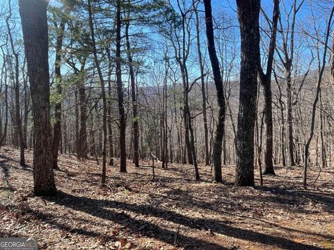 47 Bell Flower DR Jasper GA 30143