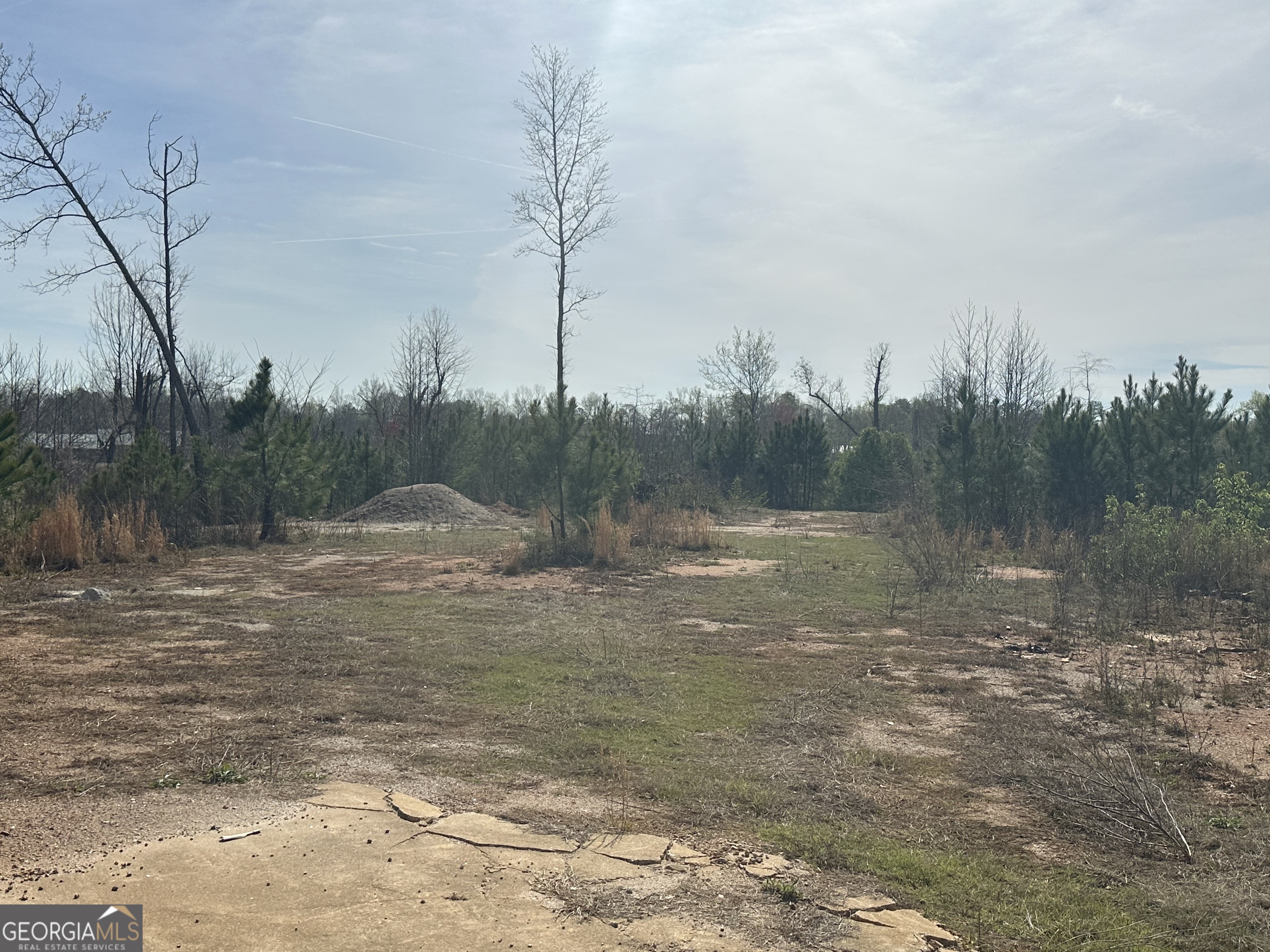 Newnan, Georgia 30263, United States, ,Land,Active,96568