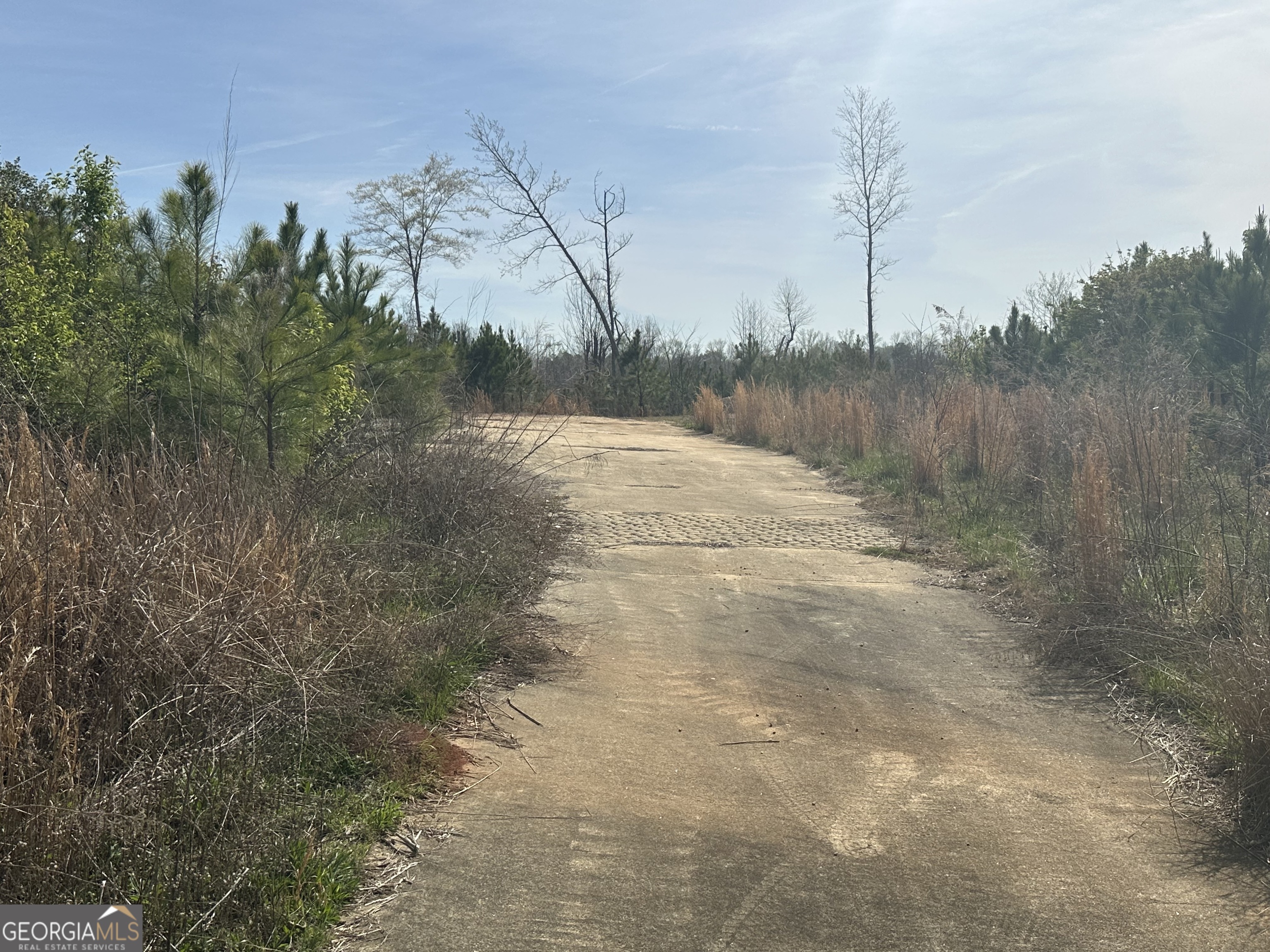 Newnan, Georgia 30263, United States, ,Land,Active,96568