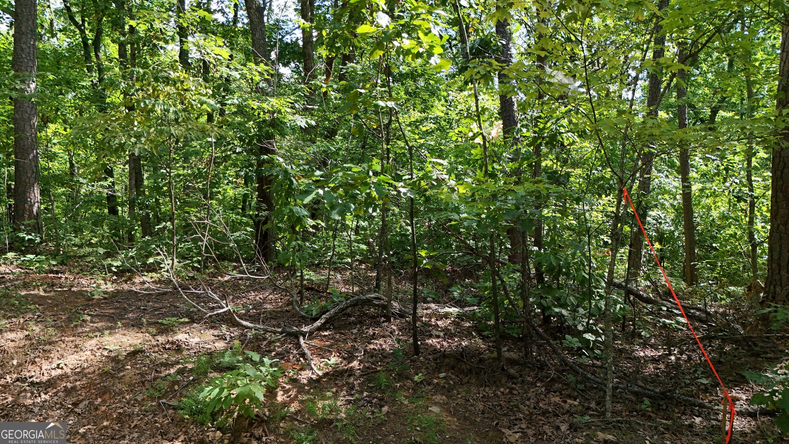 LOT 175 Mountain Crest DR