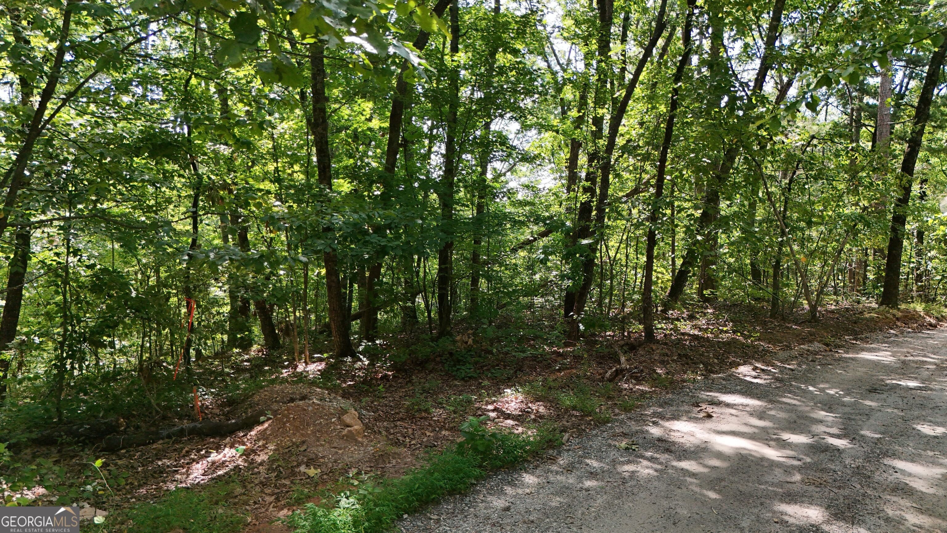 LOT 175 Mountain Crest DR