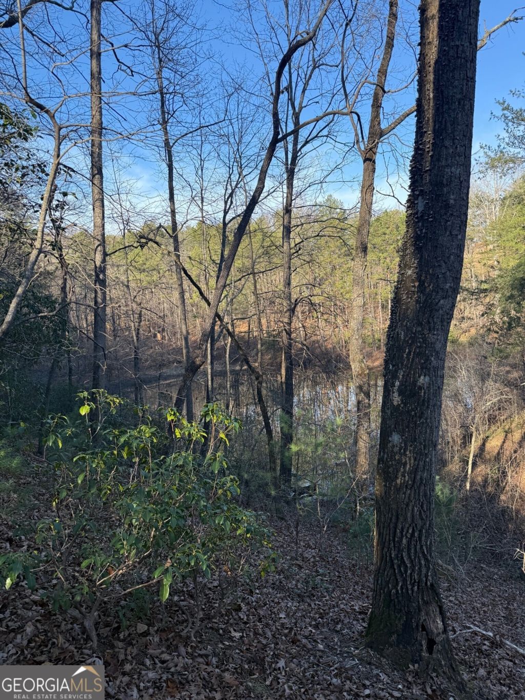 Photo of 15 Mountain Gate, Cleveland, GA 30528 (MLS # 10657441)