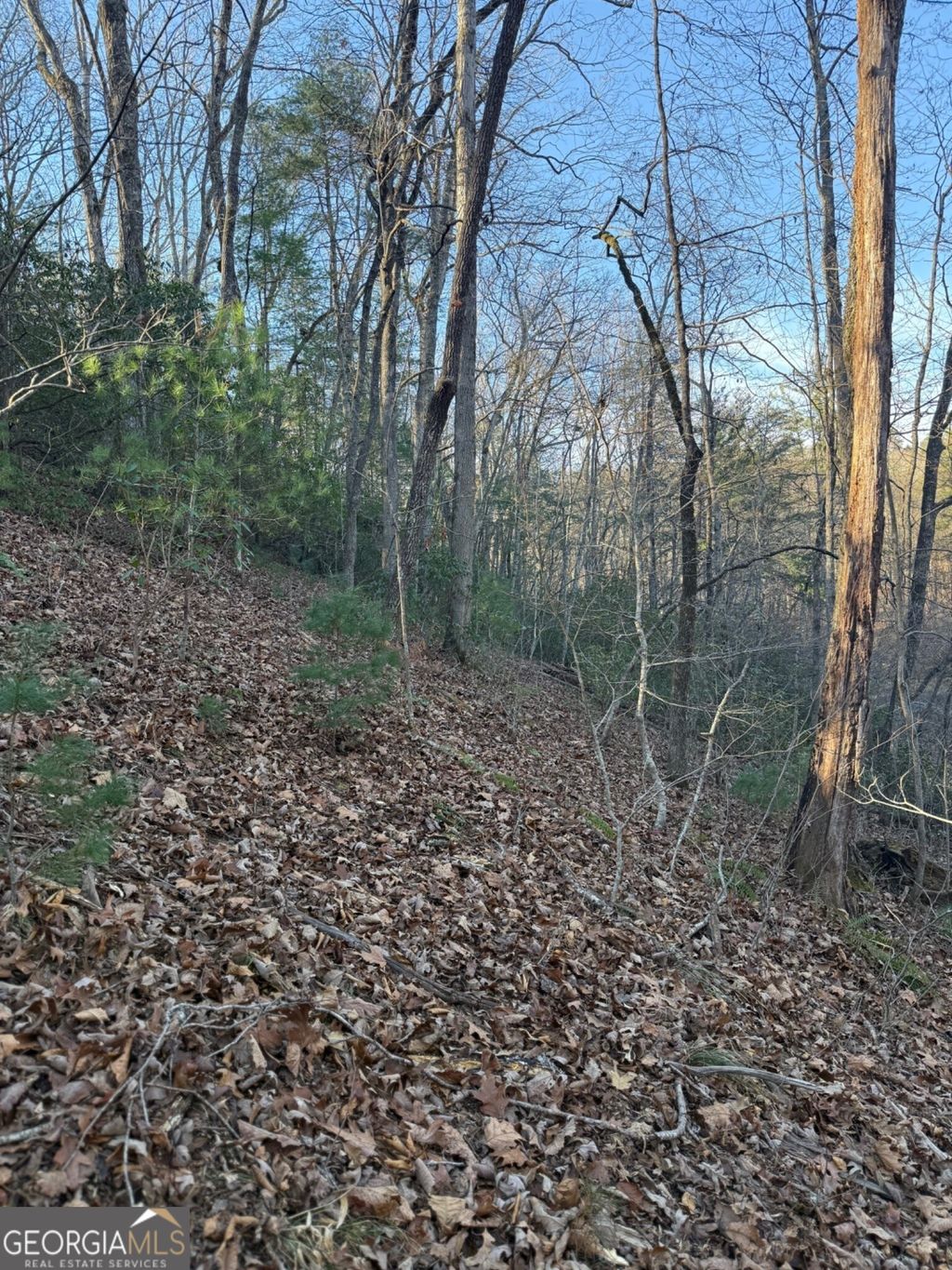 Photo of 15 Mountain Gate, Cleveland, GA 30528 (MLS # 10657441)