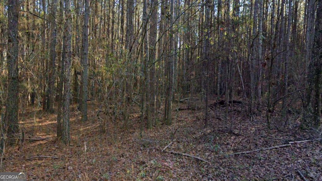 Photo of 000 Benson Rd, Dallas, GA 30132 (MLS # 10665089)
