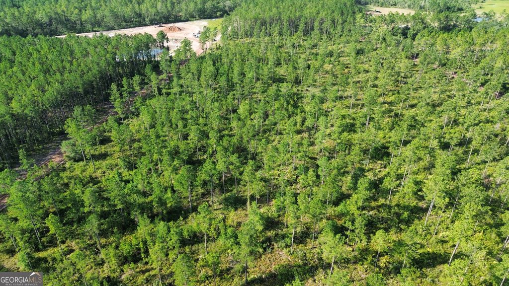 Photo of 0 Chimney Rock Road, White Oak, GA 31568 (MLS # 10804792)