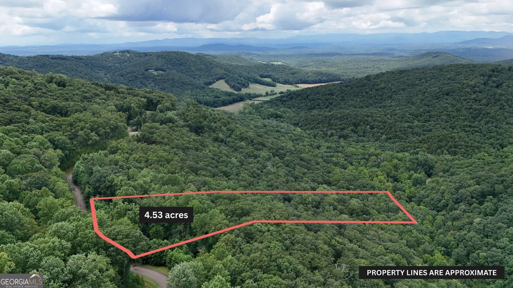 Photo of 253 Stone Cliff Drive, Ellijay, GA 30536 (MLS # 10851211)
