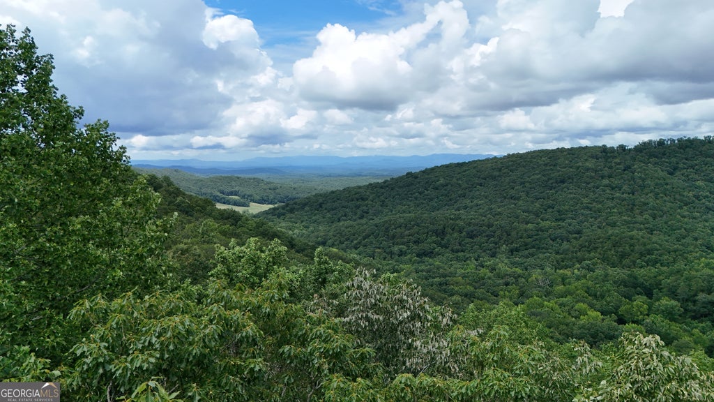 Photo of 253 Stone Cliff Drive, Ellijay, GA 30536 (MLS # 10851211)